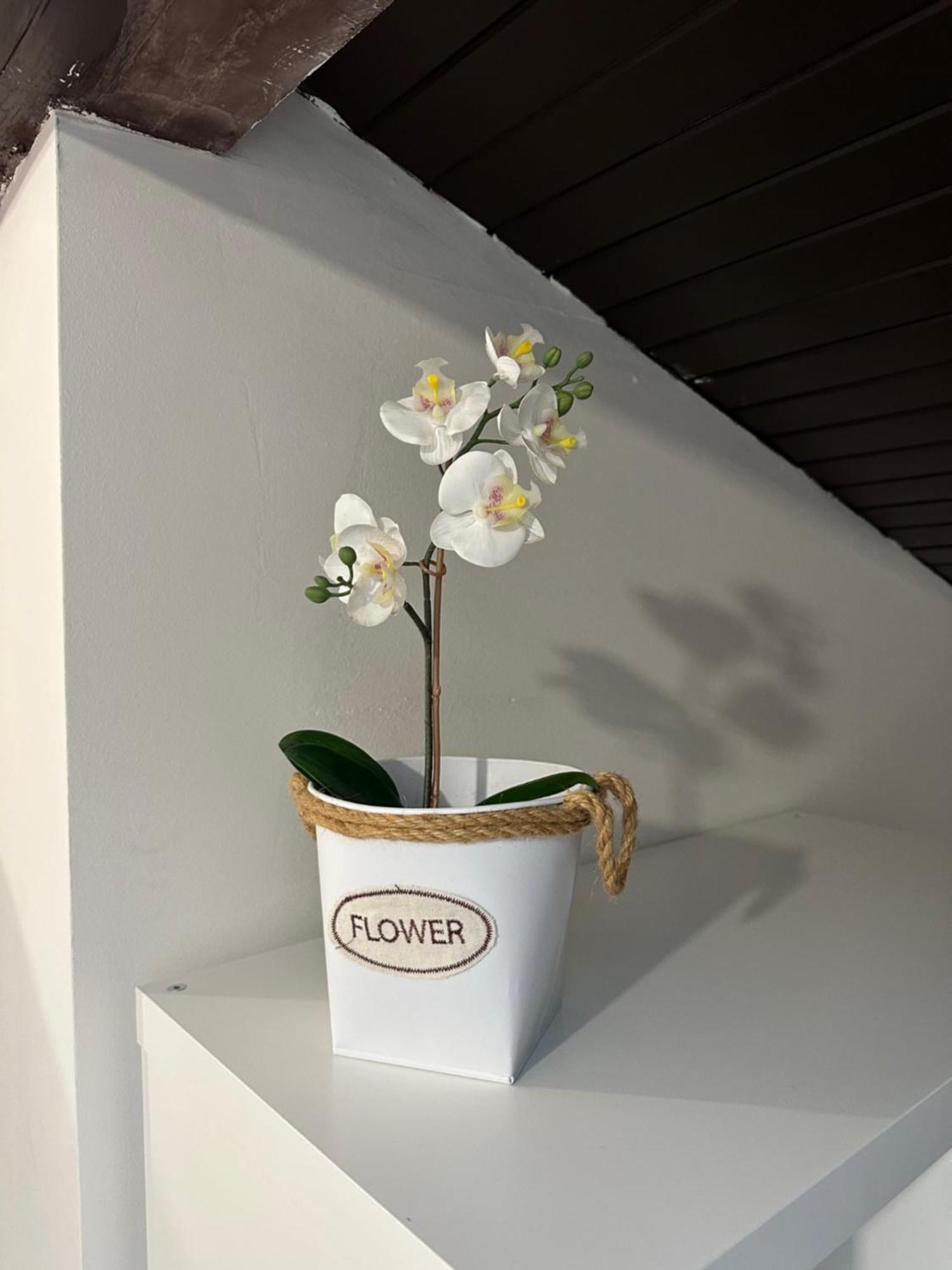 Apartmany Luxor Česká Lípa Bagian luar foto